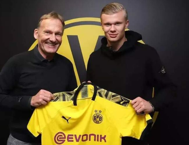 数据团队与 数据团队与